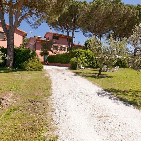 Podere Lo Stringaio Fauglia Bagian luar foto