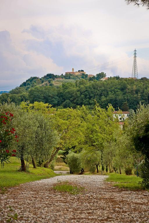 Podere Lo Stringaio Fauglia Ruang foto