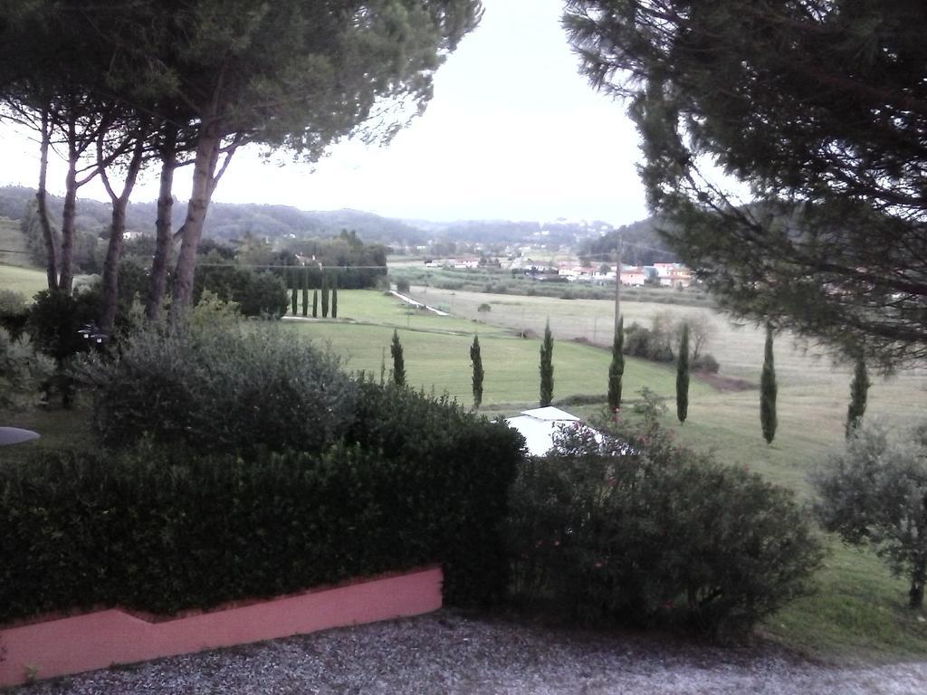 Podere Lo Stringaio Fauglia Ruang foto