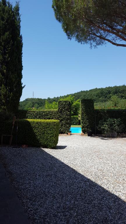 Podere Lo Stringaio Fauglia Bagian luar foto