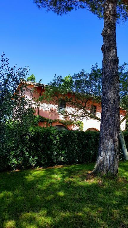 Podere Lo Stringaio Fauglia Bagian luar foto