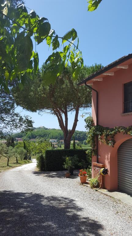 Podere Lo Stringaio Fauglia Bagian luar foto