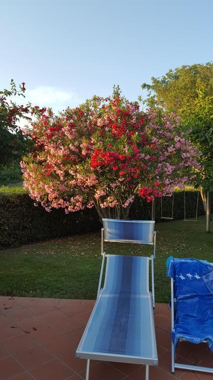 Podere Lo Stringaio Fauglia Bagian luar foto