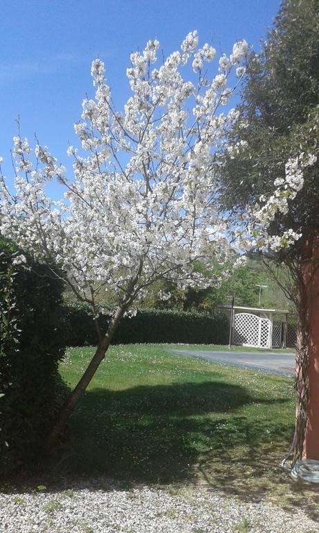 Podere Lo Stringaio Fauglia Bagian luar foto