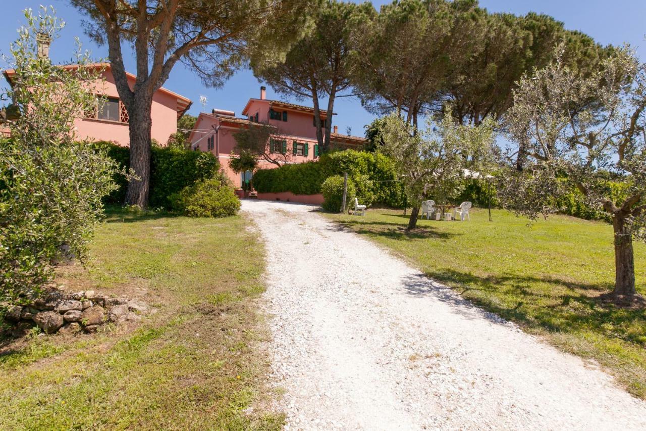 Podere Lo Stringaio Fauglia Bagian luar foto